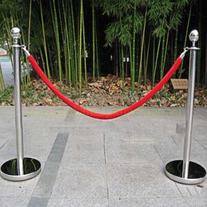 cay-phan-cach-day-chung