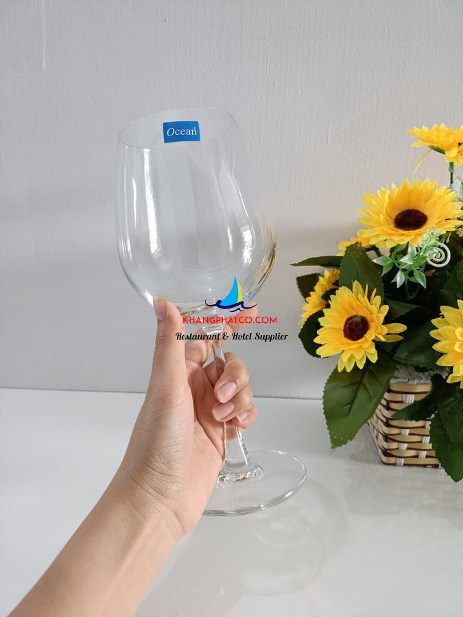 Ly rượu Vang Thủy Tinh Ocean 600ml - 1015A21 2 Ly rượu Vang Thủy Tinh Ocean 600ml - 1015A21 2