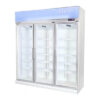 Tủ đông 3 cửa kính cao cấp